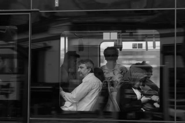 بازگشت به ریشه‌ها