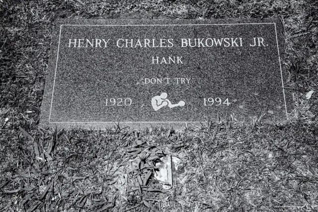 در ستایش زیست خرگوشی