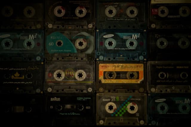 موسیقی برای یک سگ شکاری