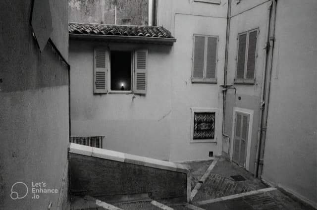 هزارپای خانهی کاغذی