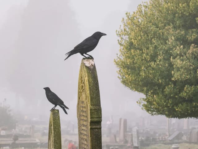 مرگ گریبانگیر تکتک ما خواهد شد. آیا راه چارهای هست؟