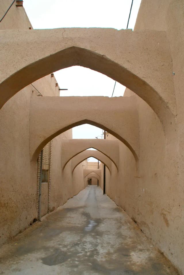 فرهنگ ایرانی؛ به مثابه بیدی کهن