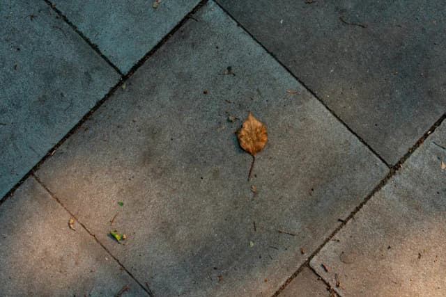 تعقیب دنبالهدار