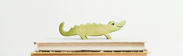 اسفار یک کروکودیل تنها